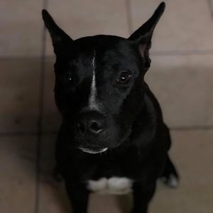 Meet your Posher, Carolina